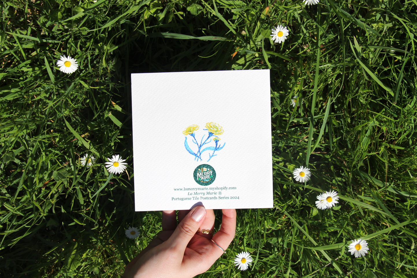 Postcard 🌿 Carlos