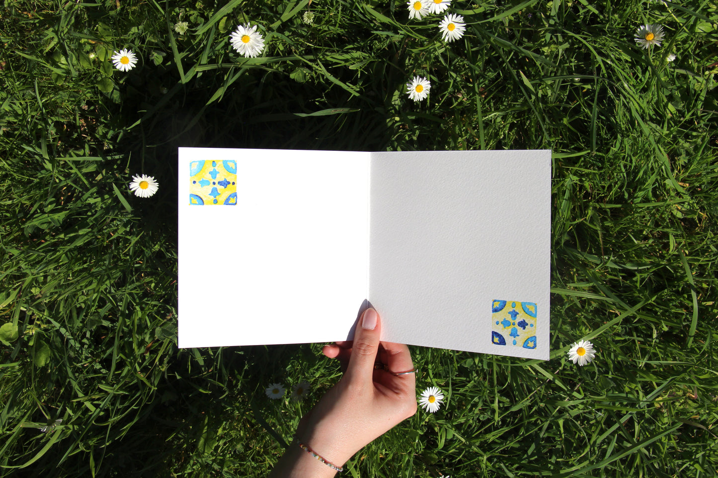 Postcard 🌿 Carlos