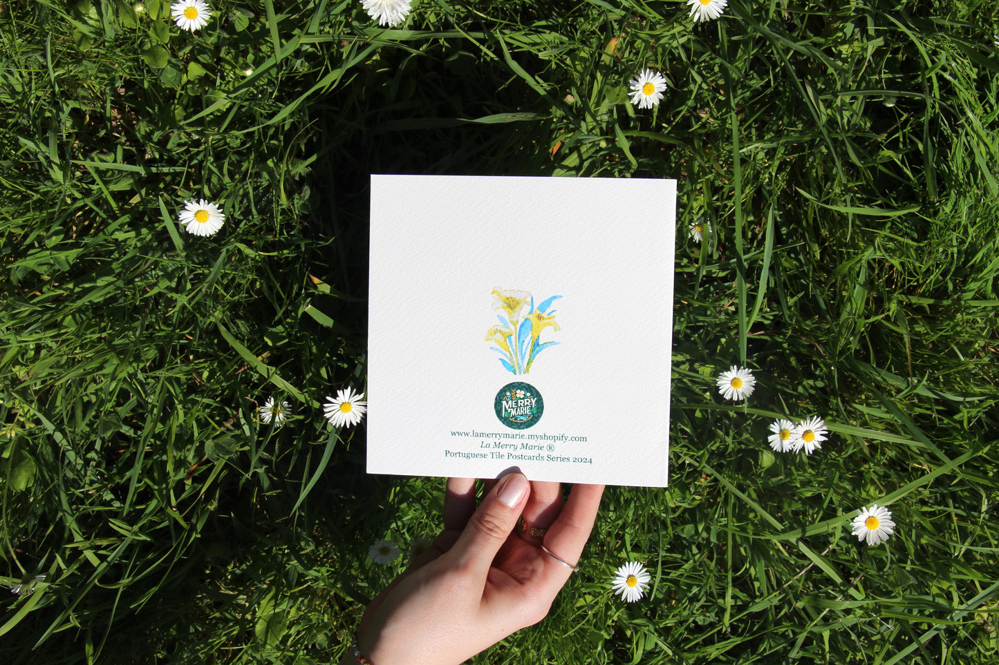 Postcard 🌿 Madalena