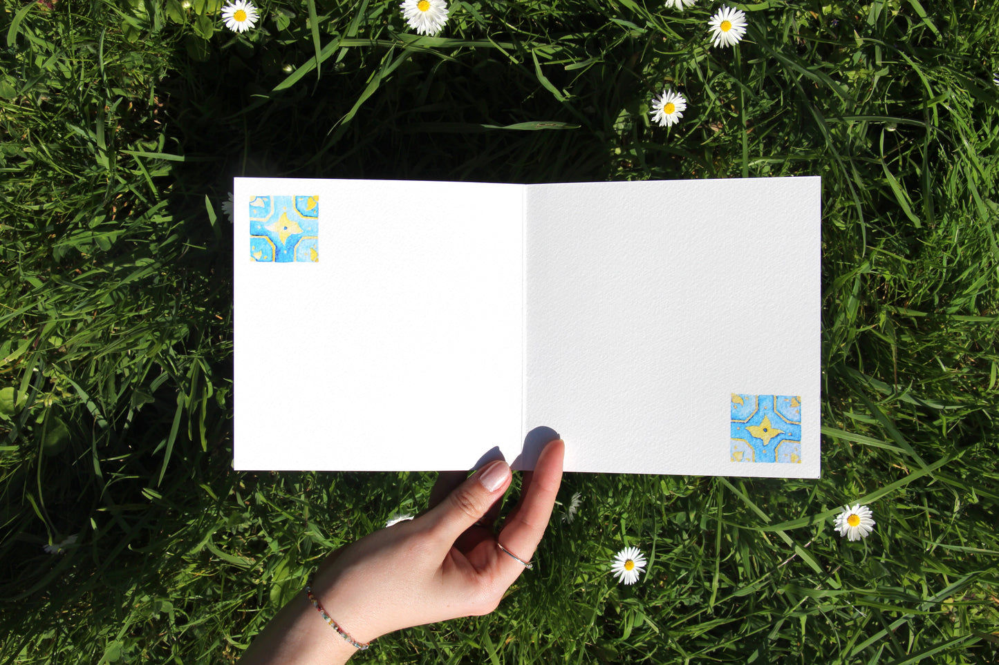 Postcard 🌿 Madalena