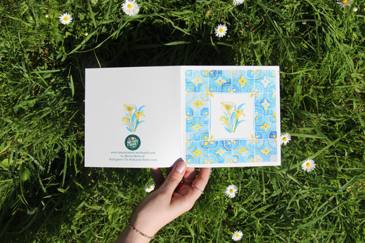 Postcard 🌿 Madalena