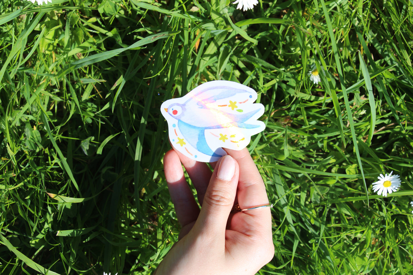 Sticker 🌿 Andorinha
