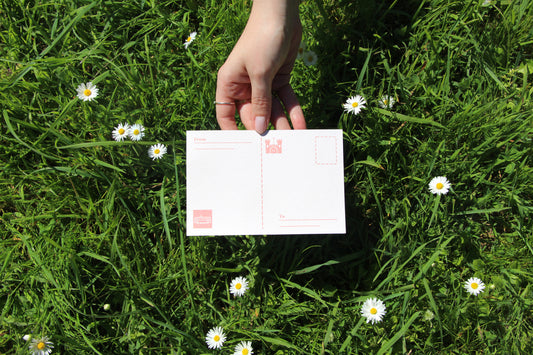 Travelling Through Portugal 💌 Castelo S. Jorge