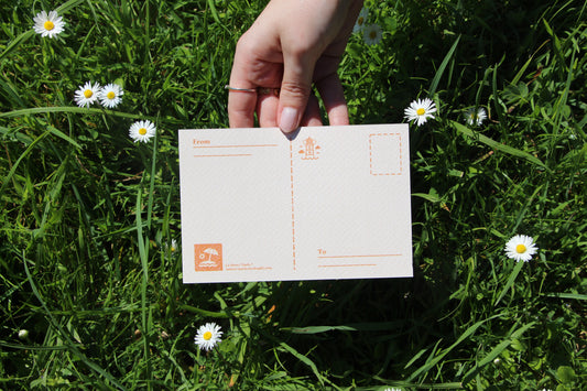 Travelling Through Portugal 💌 Foz