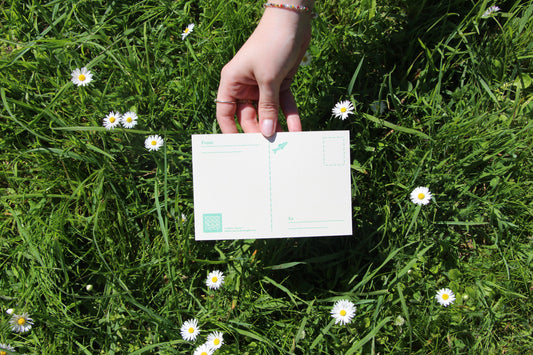 Travelling Through Portugal 💌 Vila do Conde