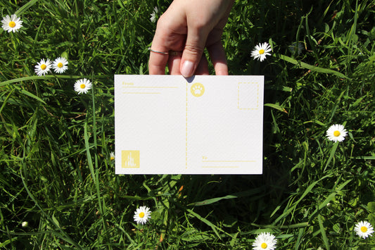 Travelling Through Portugal 💌 Maia