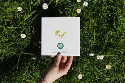 Postcard 🌿 Martins
