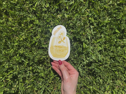 Bookmark 🍹 Amarguinha